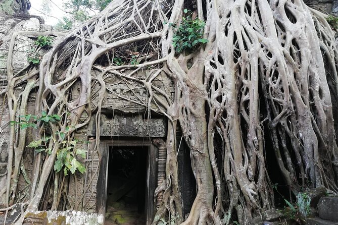 One Day Angkor World Heritage Tour - Guide and driver service: why it makes or breaks the experience