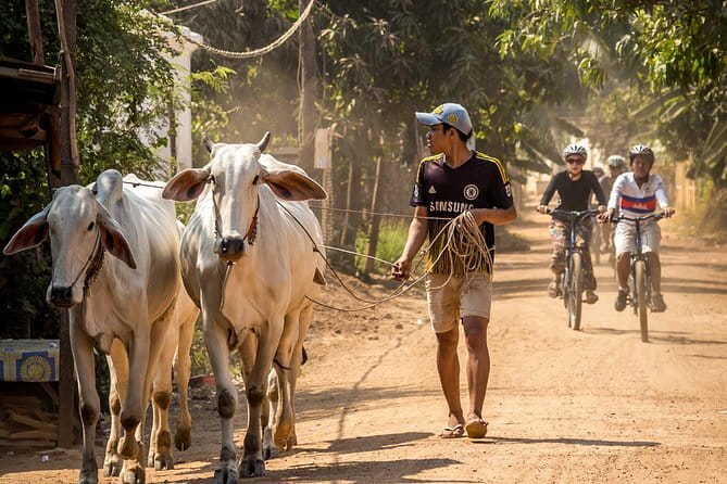 Oudong Temples & Phnom Prasith Private Tour from Phnom Penh - The Tonle Sap sunset cruise: the day’s payoff