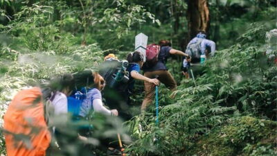 Phnom Penh: 2-Day Aural Mountains Hiking Adventure - Forest Camping Deep in the Cardamom Mountains