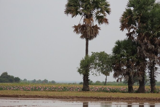 Phnom Penh Countryside Cycle Tour - Bikes, Helmets, and Group Size: What to Expect on the Ride