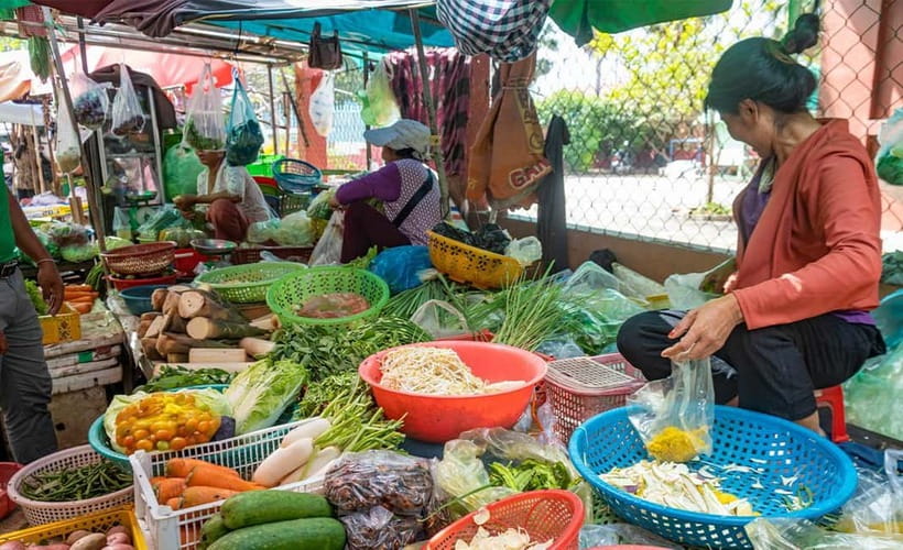 Phnom Penh Haft Day Tour to Silk Island by Tuk Tuk - Price and Value: Is $29 a Good Deal Here?