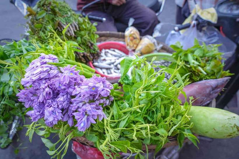 Phnom Penh: Morning Market & Guided Breakfast Tour by Tuktuk - Stop 6: Award-winning coffee to end the circuit near Russian Market