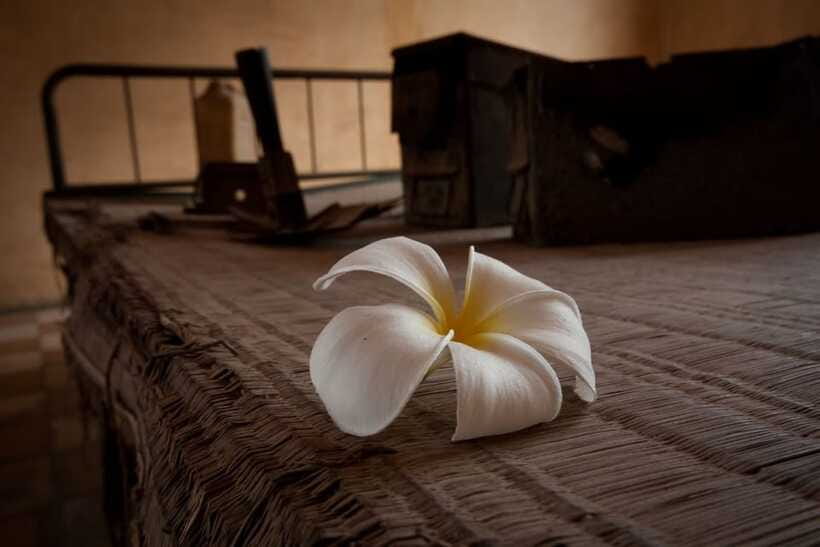 Phnom Penh private tour Tuol Sleng & Choeng Ek Killing Field - The guides: the difference between facts and understanding