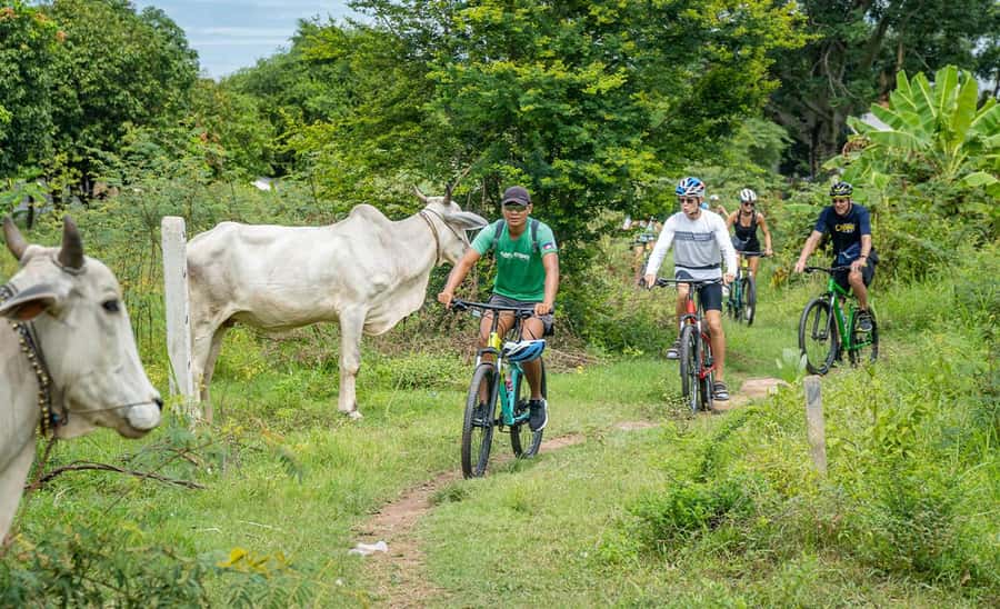 Phnom Penh: Silk Islands Half-Day Bike Tour - Bike setup and riding feel: 12 people, helmets, gears, and flat-ish routes