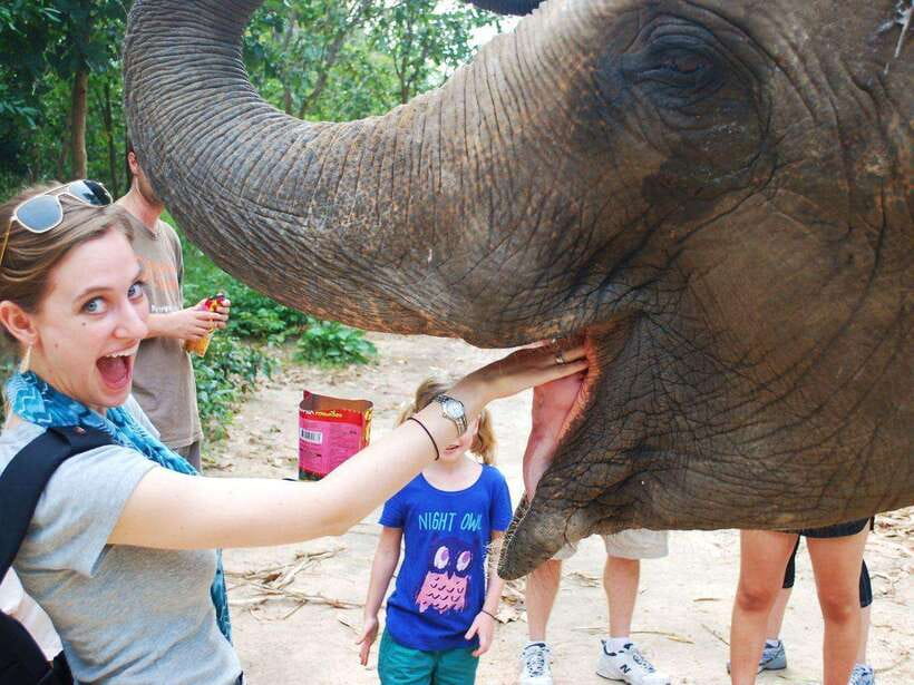 Phnom Tamao Wildlife Center & Buddha Kiri Cambodia Day Tour - Price and what you’re really buying for $45
