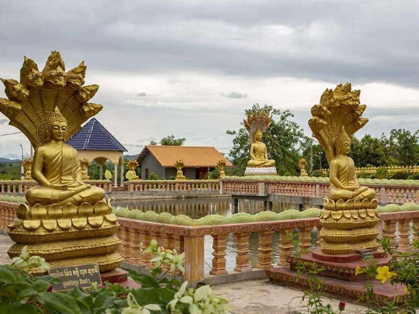 Phnom Tamao Wildlife Center & Buddha Kiri Cambodia Day Tour - The private guide and driver impact (and why it matters)