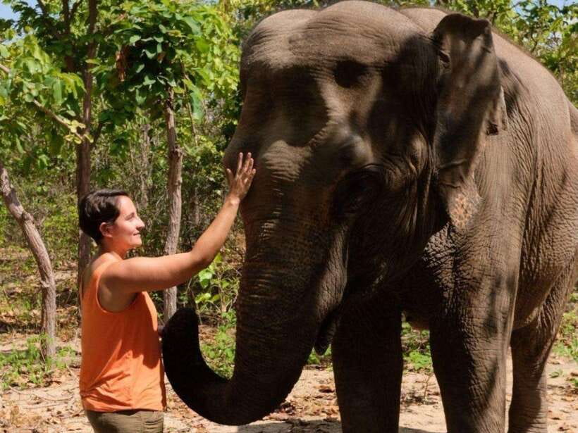 Phnom Tamao Wildlife Center & Buddha Kiri Cambodia Day Tour - Tonle Bati: a calmer temple stop with guided walking time