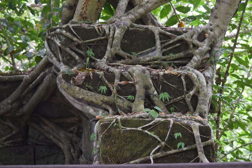 Prasat Thom, Koh Ker Group & Beng Mealea Full-Day Tour - Should You Book the Prasat Thom, Koh Ker, and Beng Mealea Full-Day Tour?