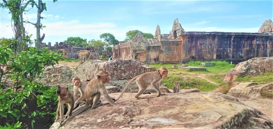 Preah Vihear Temple Koh Ker & BengMealea Tour from Siem Reap - Beng Mealea: stone chaos, walking time, and UNESCO atmosphere
