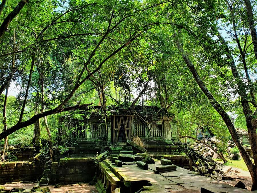Preah Vihear Temple Koh Ker & BengMealea Tour from Siem Reap - The driver and the comfort factor (including what you can expect from names like Vutha)