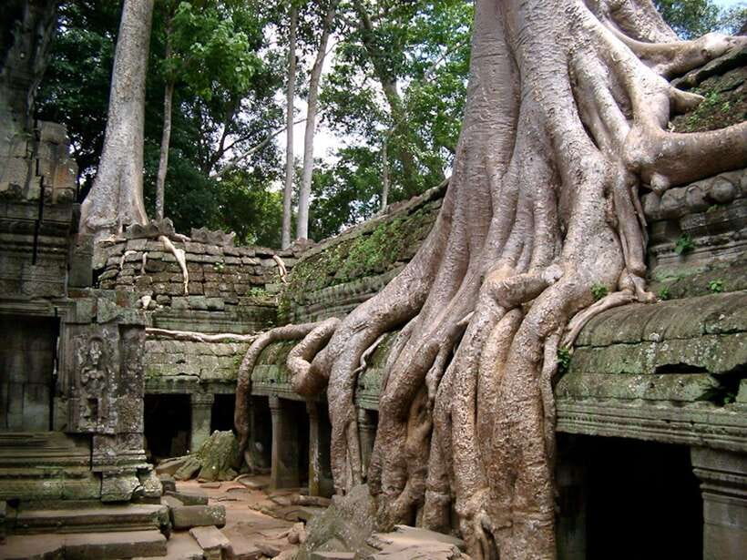 Private Angkor Sunrise, Guide Breakfast and Tuktuk included - Guide Quality Matters More Than You Think