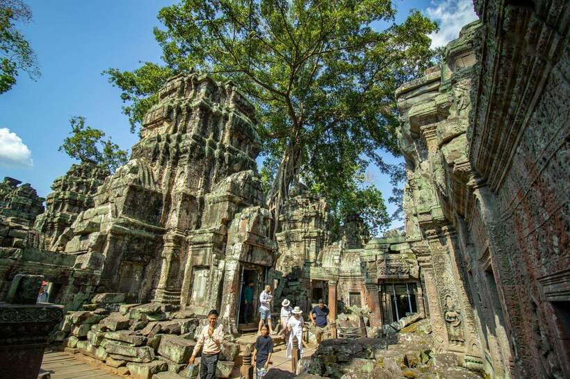 Private Angkor Wat Sunset Tour with Lunch and Snack Included - Ta Prohm: the jungle temple effect, with the meaning attached