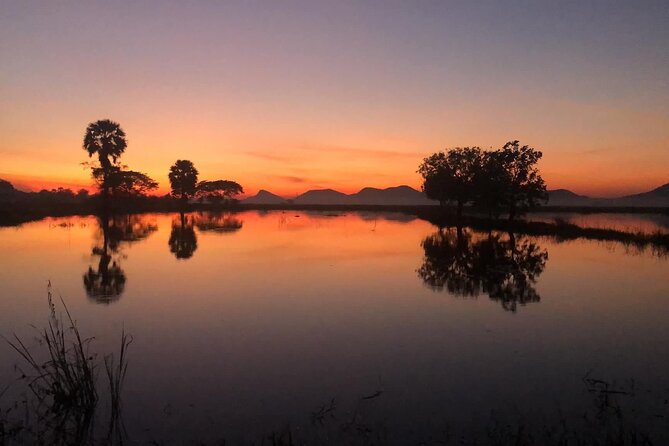 Private Full Day Tuk Tuk Tour in Battambang - Sunset at the Bat Caves: When the Rice Fields Come Alive