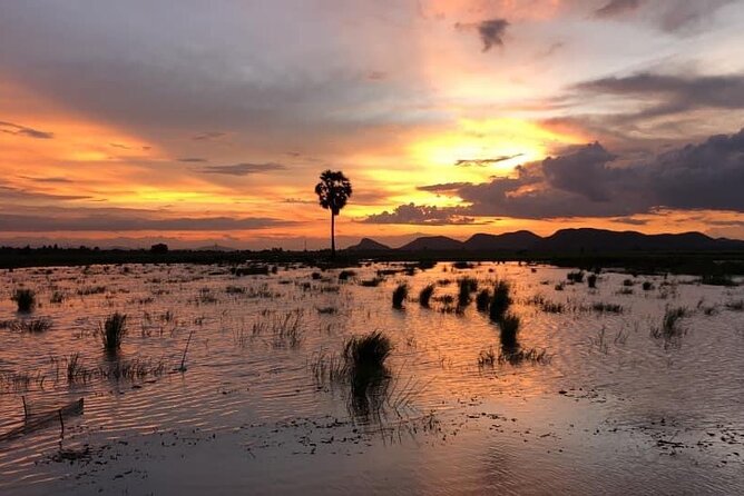 Private Full Day Tuk Tuk Tour in Battambang - Price and Value: What $20 Gets You, and What Costs Extra