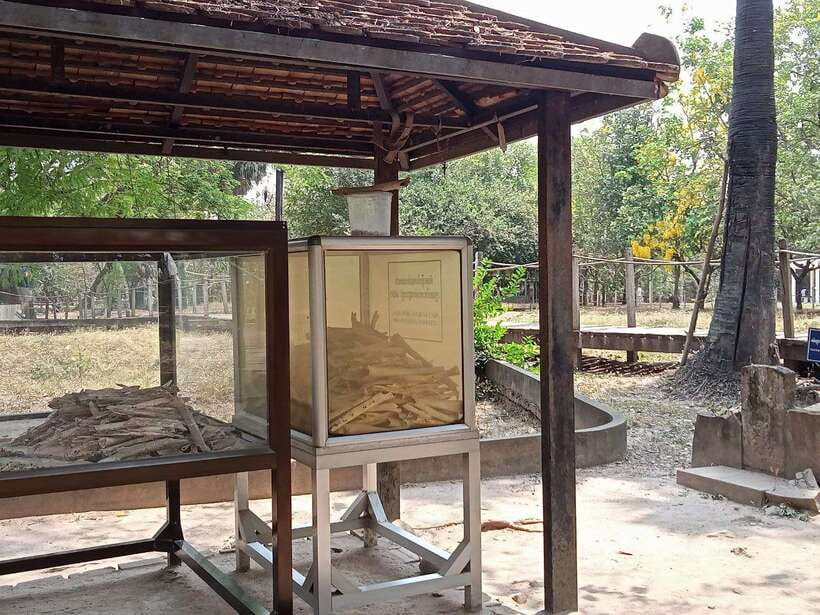 Private Half Day Trip to Genocidal Museum & Killing Field - Should you book this private half-day tour?