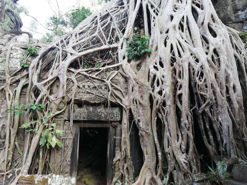Private Sunrise Angkor Wat Tour - Key things to know before you go