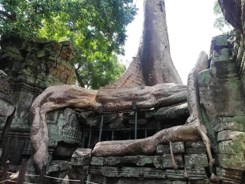 Private Sunrise Angkor Wat Tour - Price and value: what $90 really buys you (and what to budget)
