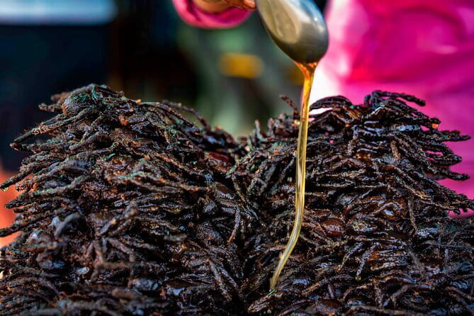 Private Taxi Phnom Penh To Siem Reap Include Floating Villages - Skun Spider Sanctuary: The Short Stop With Big Choices