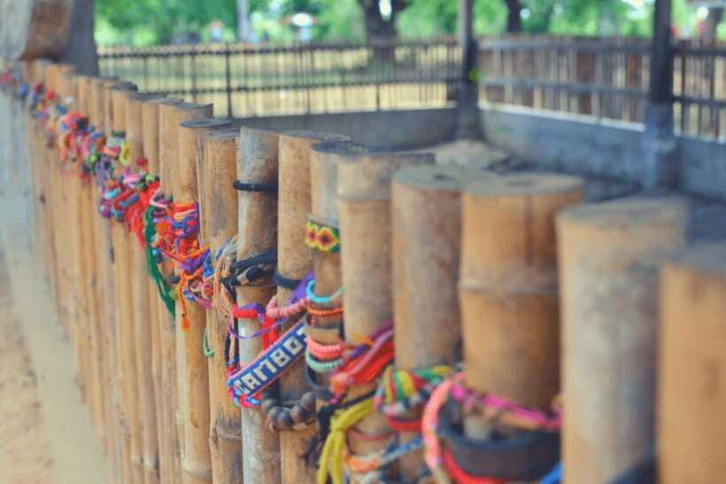 S21 & Killing Fields Tour with Khmer Lunch & Drink - Choeung Ek (Killing Fields): walking with context, not just scenery