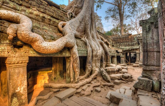 Shared Tour to Angkor Wat, Bayon and Ta Prohm Temples - Key things to know before you go
