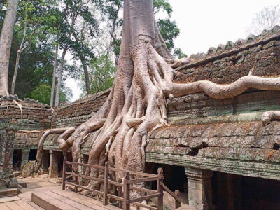 Sharing Trip to Angkor Temple with sunset - Hotel pickup, transport, and the small comforts that matter