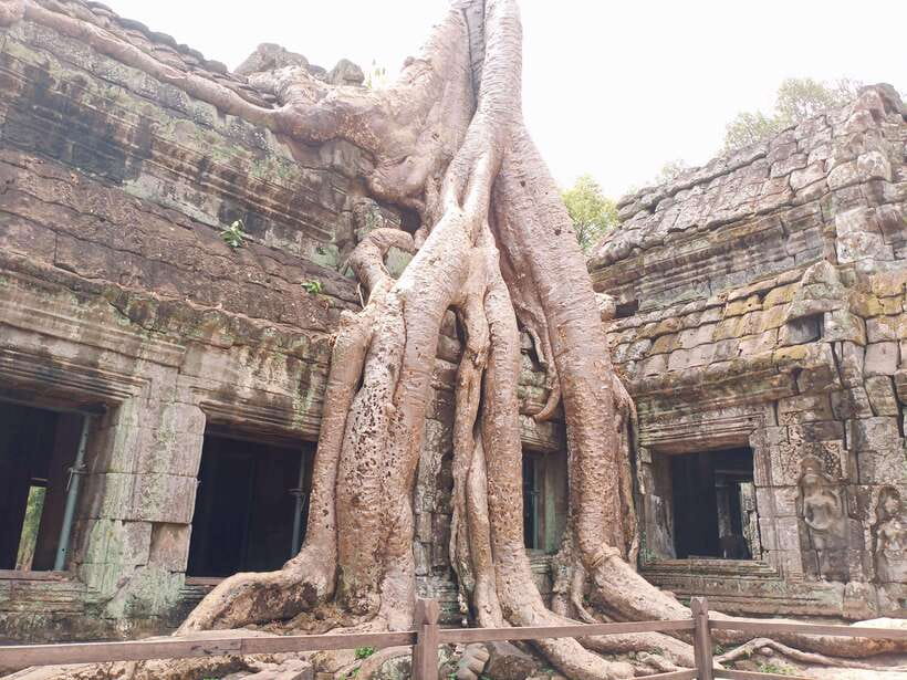 Sharing Trip to Angkor Temple with sunset - Price and value: what $19 covers, and what adds up