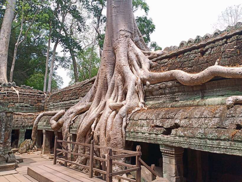 Sharing Trip to Angkor Temple with sunset - Hotel pickup, transport, and the small comforts that matter