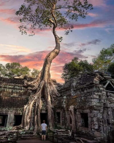 Siem Reap: 2-Day Private Angkor Wat & Angkor Temples Tour - Day 1: Small Circuit From South Gate to Ta Prohm and Angkor Wat