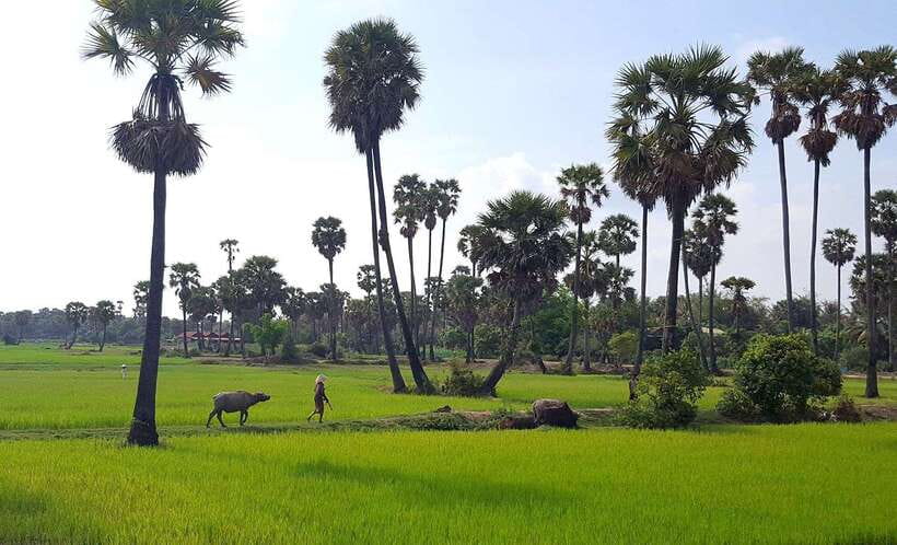 Siem Reap: 6-Hour Easy Rider Motorbike Tour - Key things that make this Easy Rider tour worth your time