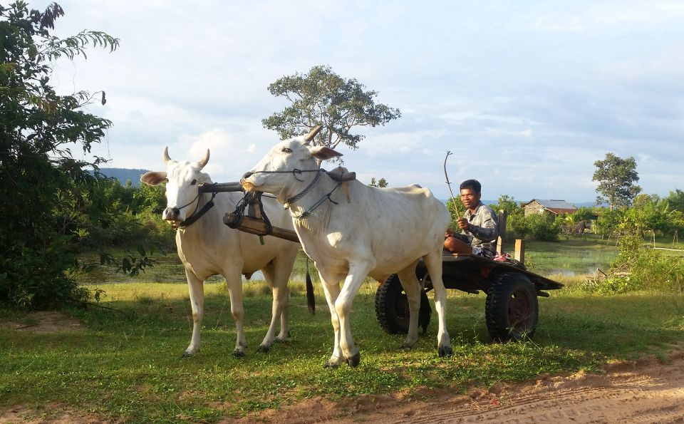 Siem Reap: 6-Hour Easy Rider Motorbike Tour - Chai Village monastery: peace today, hard memory behind it