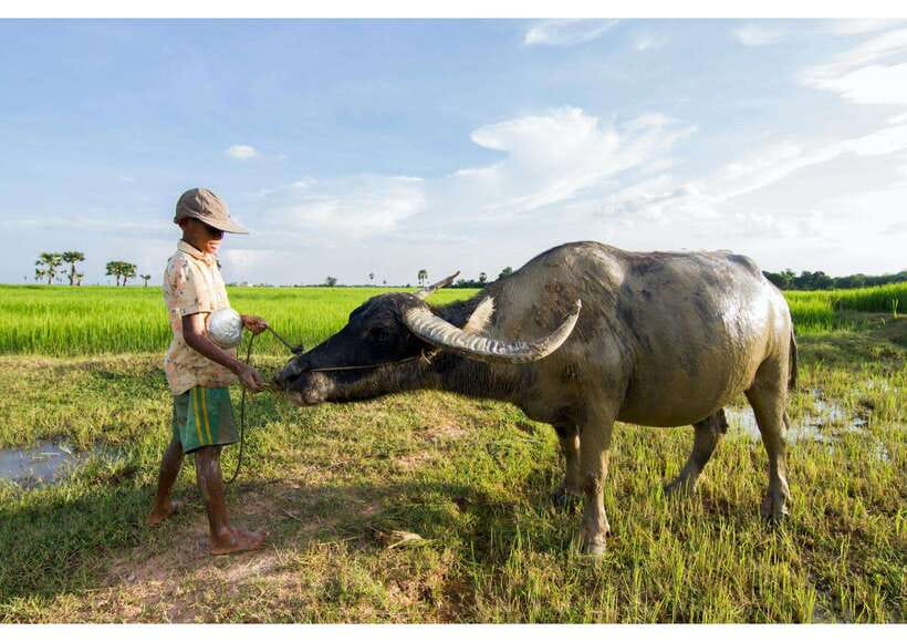 Siem Reap: Afternoon Cooking Class & Village Tour - Key Things I’d Mark in Your Planner