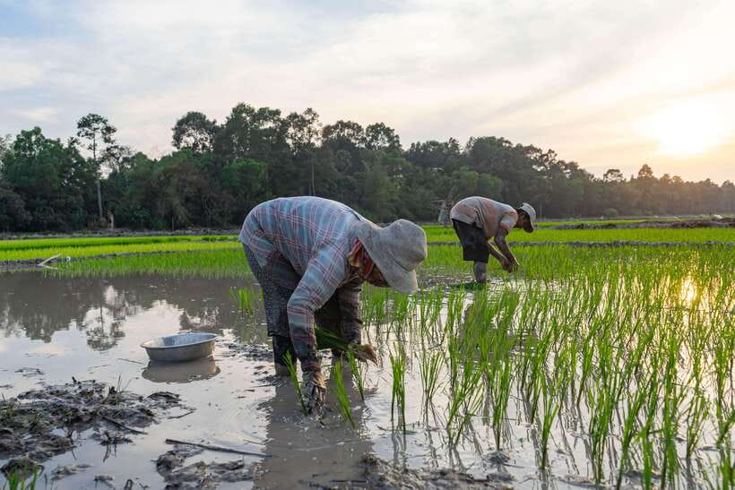 Siem Reap: Afternoon Cooking Class & Village Tour - Price and Value: Is $35 Really Fair?