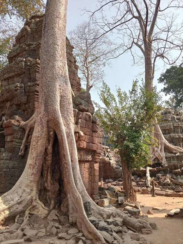Siem Reap: Angkor Full-Day Group Tour with Japanese Guide - Pickup in Krong Siem Reap and how the day stays manageable