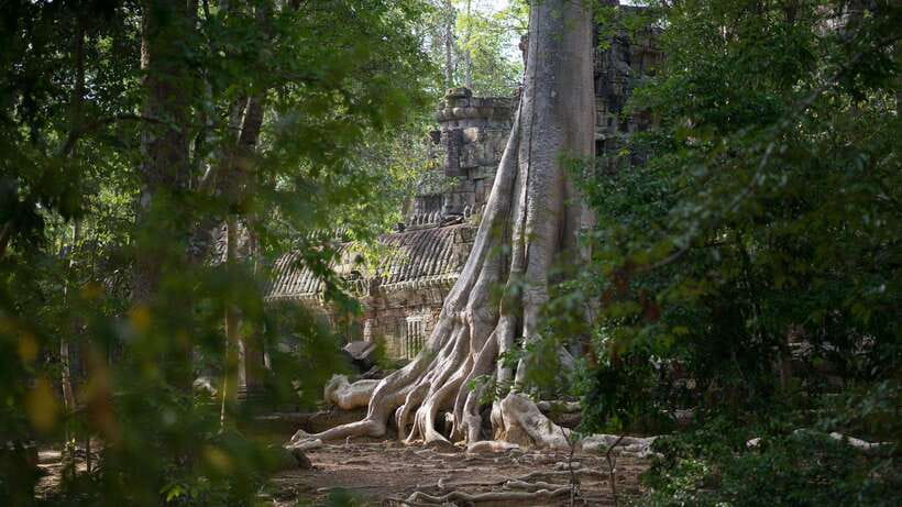 Siem Reap: Angkor Temples Off-Track Bicycle Tour - Siem Reap by Bike: Why This Tour Feels Different