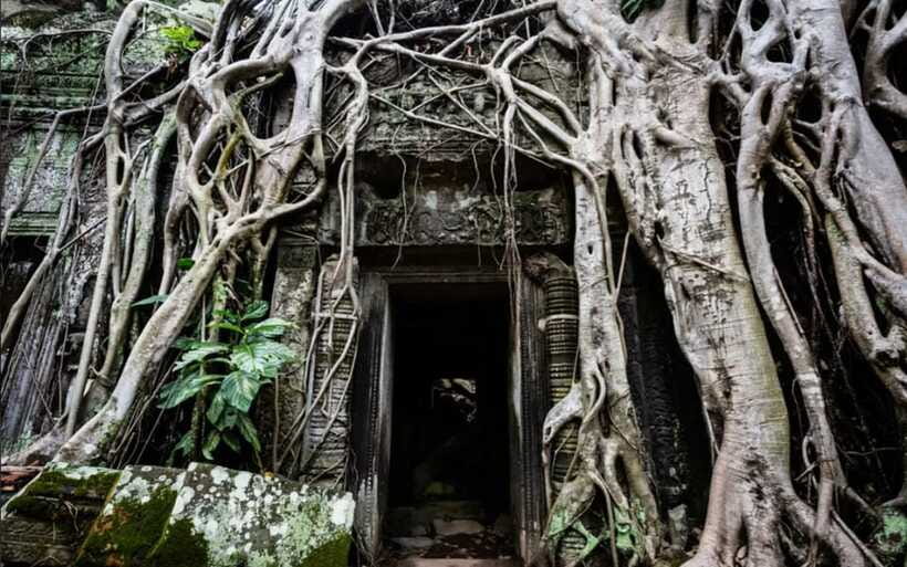 Siem Reap: Angkor Temples Tour - Shared Tours tours guide - South Gate of Angkor Thom: Bayon and the Faces You Can’t Unsee