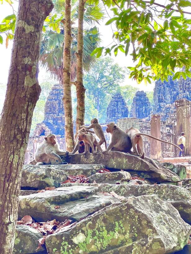 Siem Reap: Angkor Wat Private full Day Tour - Lunch on Your Own: Keep the Break Simple