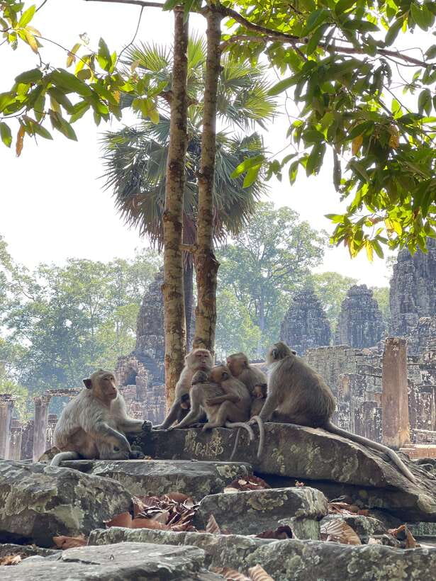 Siem Reap: Angkor Wat Private full Day Tour - Who This Tour Suits Best (and Who Might Prefer Something Else)
