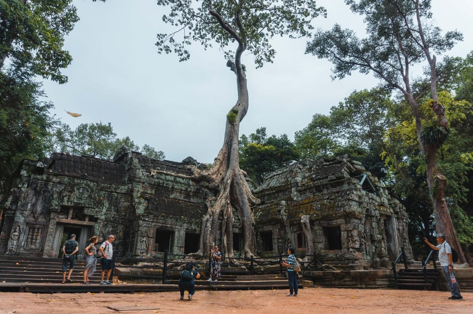 Siem Reap: Angkor Wat Small-Group Full Day Tour and Sunset - Ta Prohm: the tree-root temple that steals the show