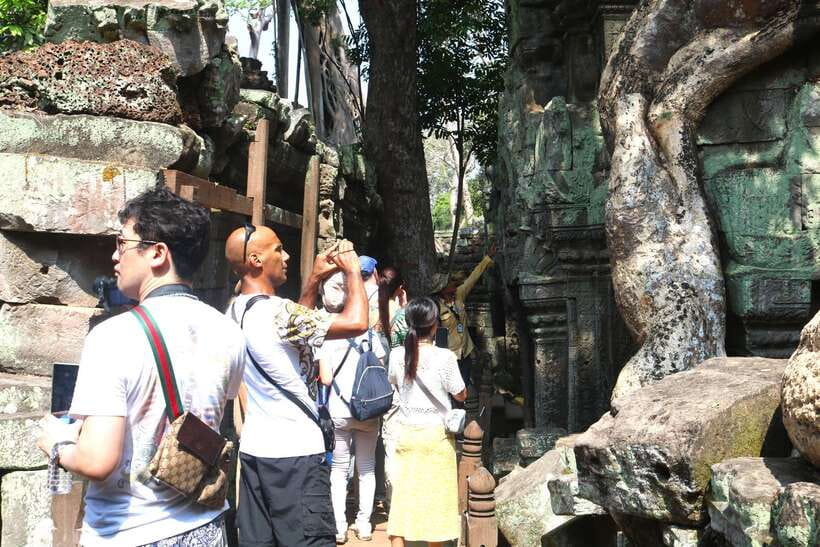 Siem Reap: Angkor Wat: Small-Group Sunrise Tour - Ta Prohm: jungle-shrouded ruins with a real sense of mystery