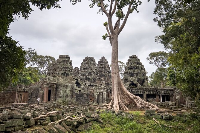 Siem Reap: Angkor Wat Sunrise Bike Tour & Jungle Breakfast - Sunrise Wat-to-temple route: why this day works