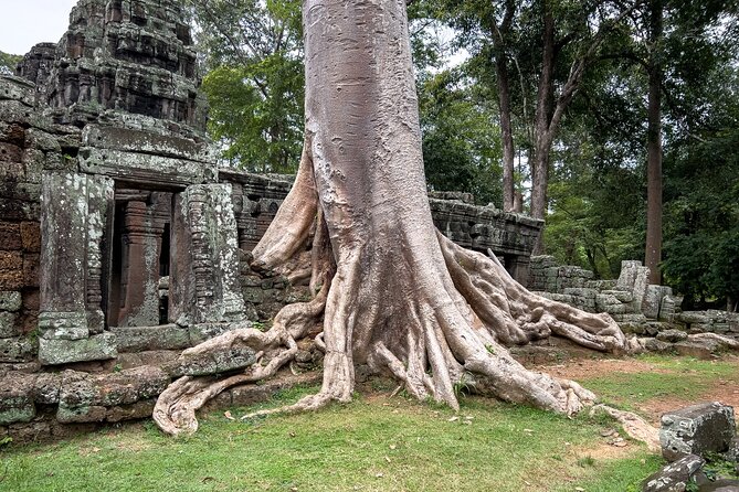 Siem Reap: Angkor Wat Sunrise Bike Tour & Jungle Breakfast - Angkor Wat at dawn: the Vishnu-focused morning visit