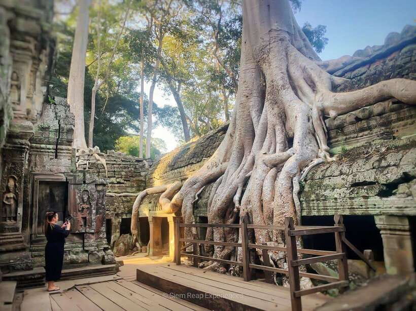 Siem Reap: Angkor Wat Sunrise or Sunset Guided Tour - Price and what you really get for $13