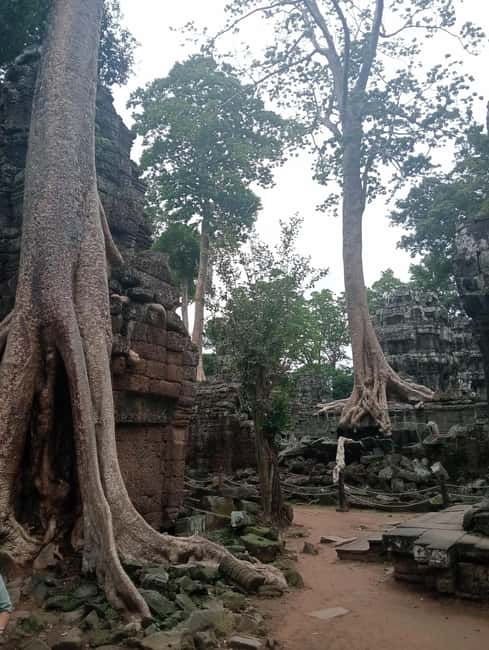 Siem Reap: Angkor Wat Tour with Italian-Speaking Guide - Transport, Comfort, and Heat Management (Cold Towels Matter)