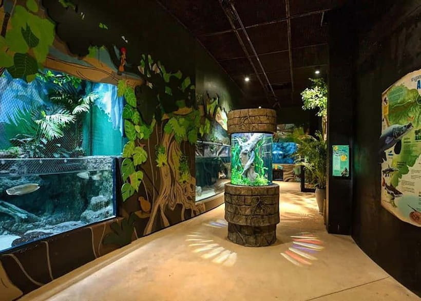 Siem Reap: Angkor Wildlife & Aquarium Entrance Ticket - Key things to know before you go