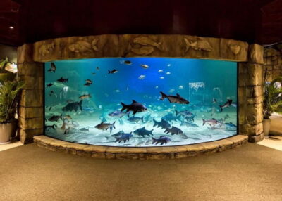 Siem Reap: Angkor Wildlife & Aquarium Entrance Ticket - Shuttle timing in Siem Reap: morning and afternoon options