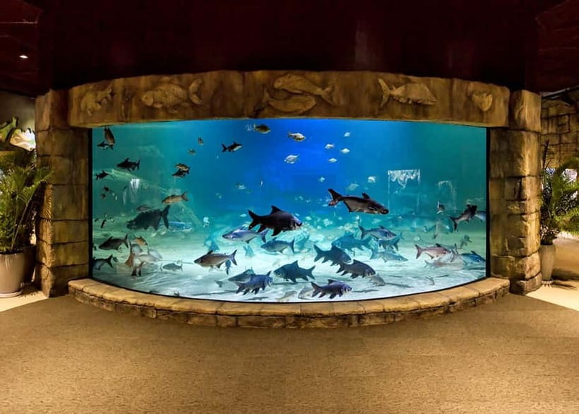 Siem Reap: Angkor Wildlife & Aquarium Entrance Ticket - Shuttle timing in Siem Reap: morning and afternoon options