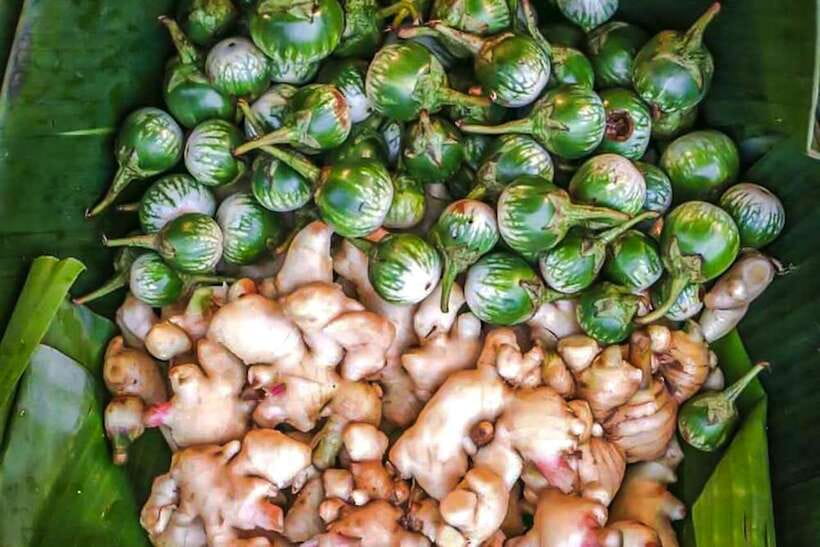 Siem Reap: Cambodia local street foods and local guide - How your guide helps you order with less guesswork