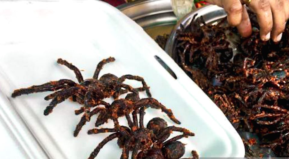 Siem Reap: Cambodia local street foods and local guide - The guides make the difference: Heang, Vone, Dara