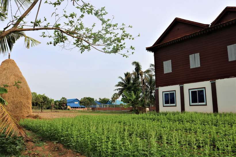 Siem Reap: Countryside Quad Bike Sunset Adventure - Beer, local snacks, and food tasting: how the tour rewards you after riding