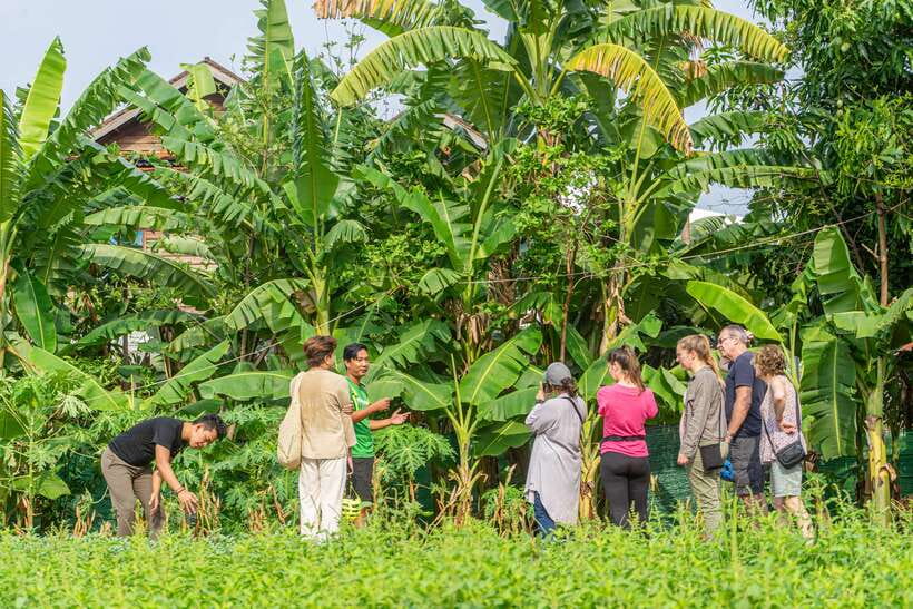 Siem Reap: Countryside Sunset Bike Tour / E-Bike or Tuk Tuk - Wat Po Banteaychey and the food market visit: culture plus everyday life